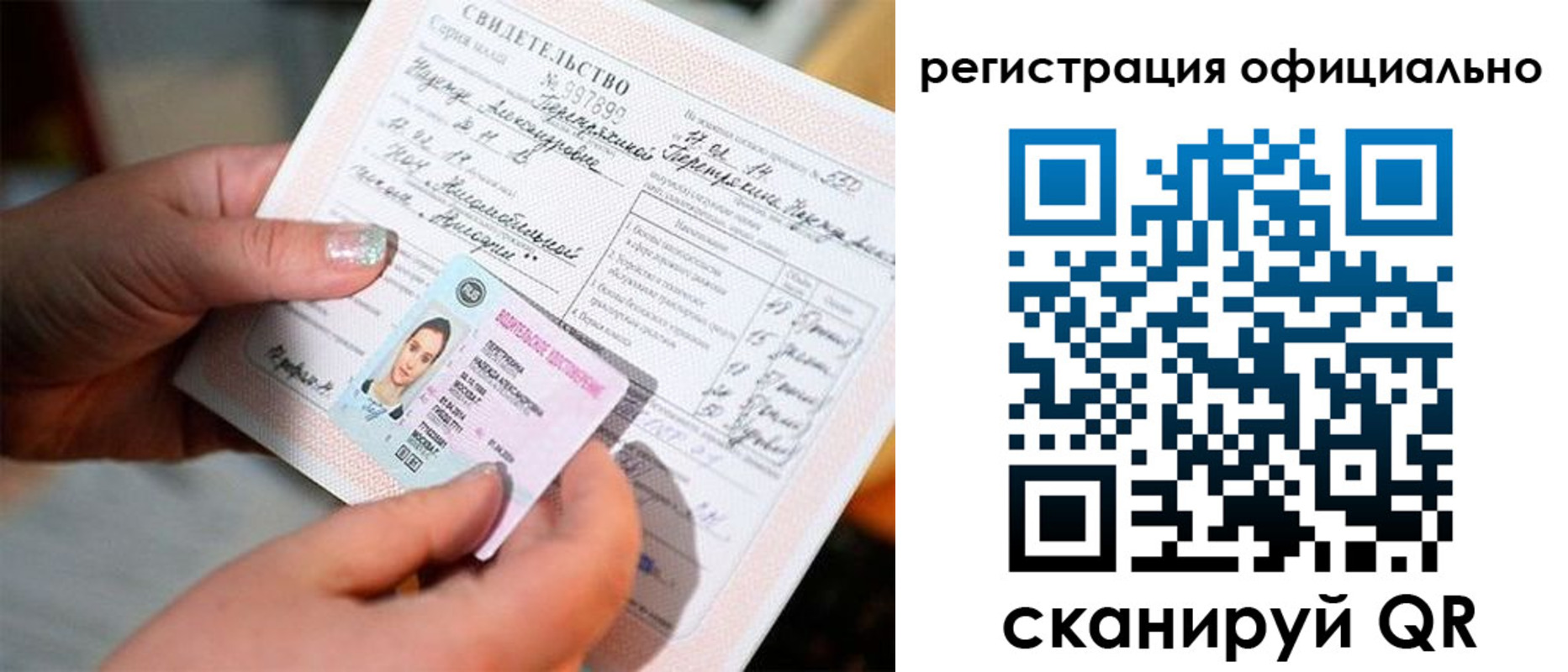 прописка для школы в Курской области